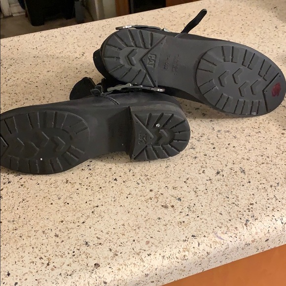 Cat - Picture 7 of 7